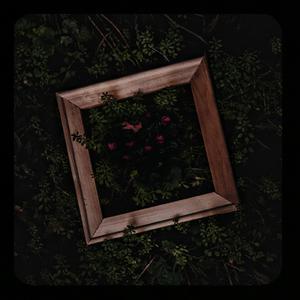 偷拍窝棚里嫖老太视频
